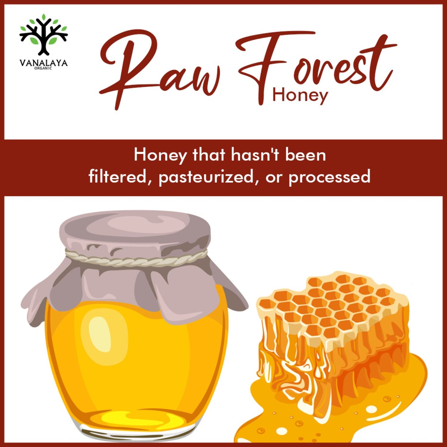 Vanalaya 100% Natural Forest Honey - Raw, Unprocessed, Unpasteurized, Pure Honey