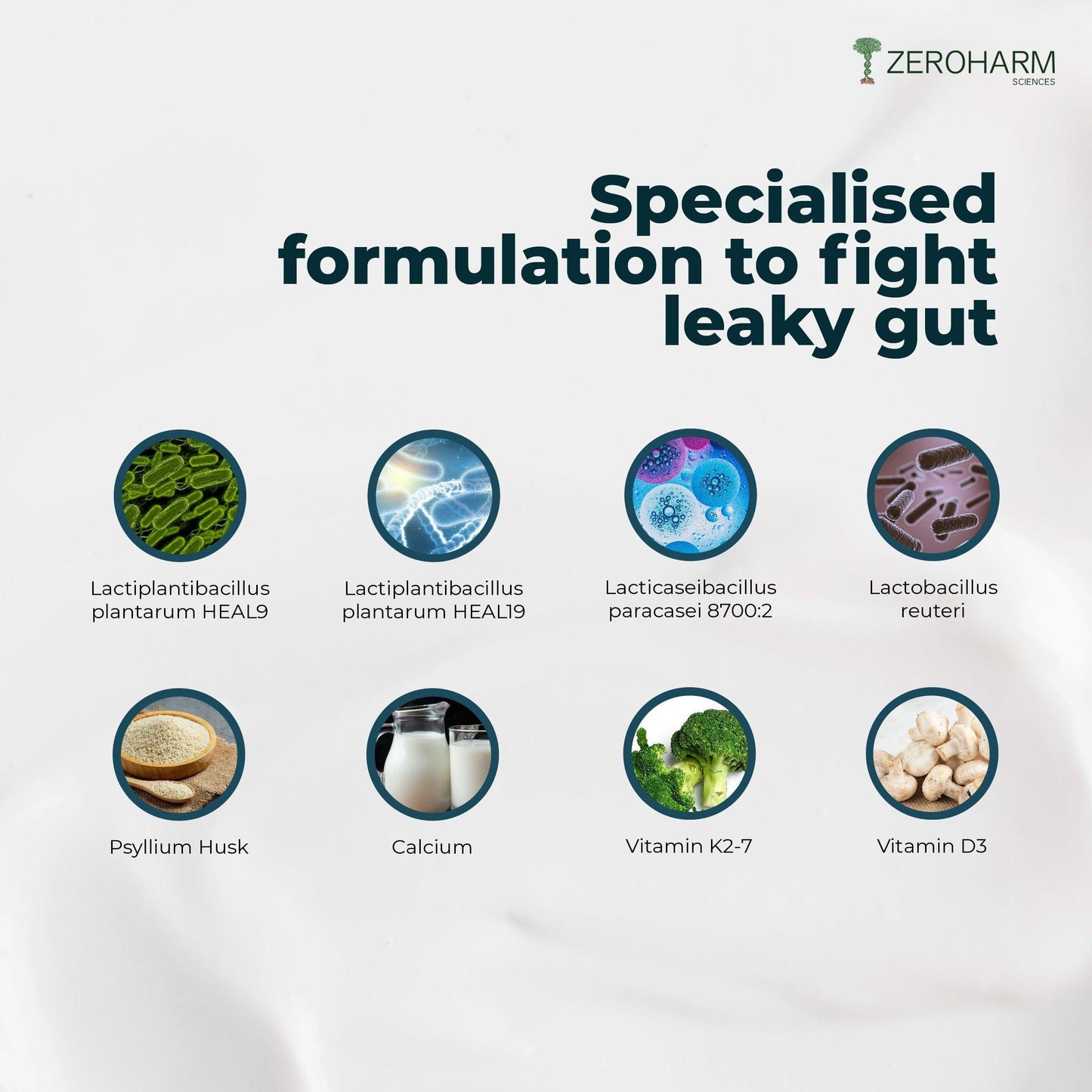 Zeroharm Gut Army Probiotic Leaky Gut Capsule - 60 Capsules