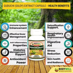 BodyWell Giloy Veg Capsule - 60 Capsules