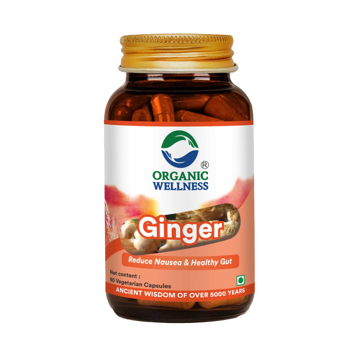 Organic Wellness Ginger Capsules -  90 Vegetarian Capsules