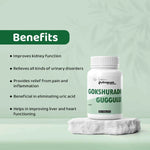 Dr. Satnam's Arogyam Ayurveda Gokshuradi Guggulu Tablet (60 Each)