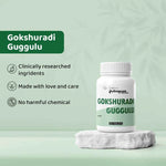 Dr. Satnam's Arogyam Ayurveda Gokshuradi Guggulu Tablet (60 Each)