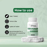 Dr. Satnam's Arogyam Ayurveda Gokshuradi Guggulu Tablet (60 Each)