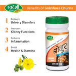 Swadeshi Gokshur Churna Powder (100g) - Pure Tribulus Terrestris for Men's Vitality