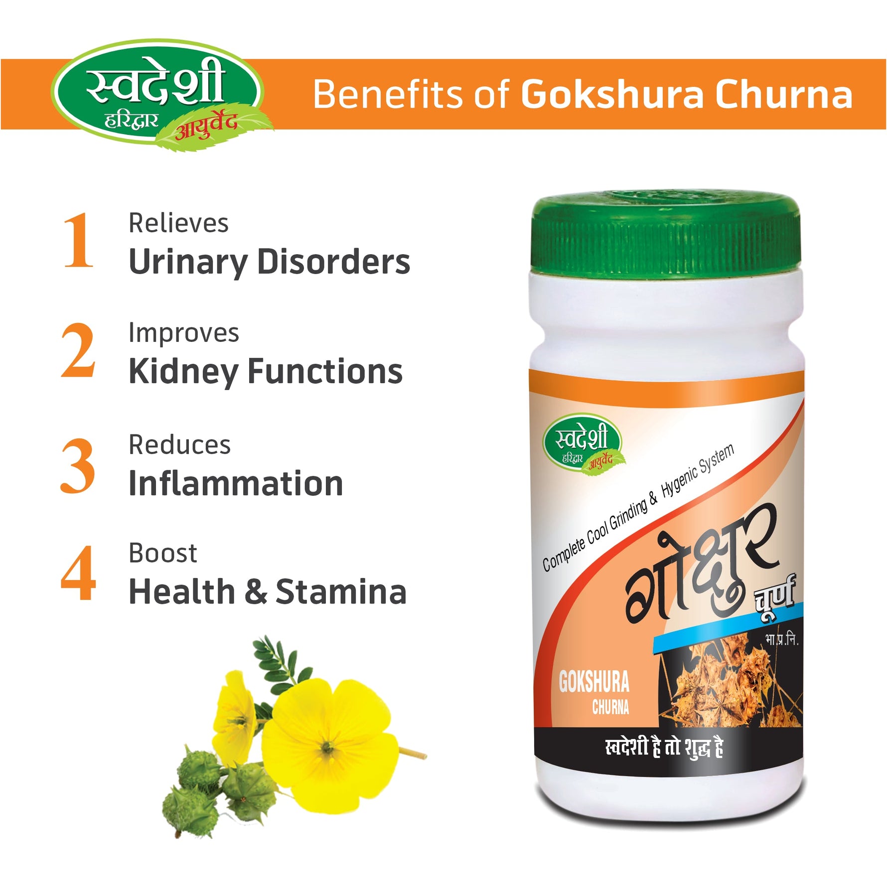 Swadeshi Gokshur Churna Powder (100g) - Pure Tribulus Terrestris for Men's Vitality