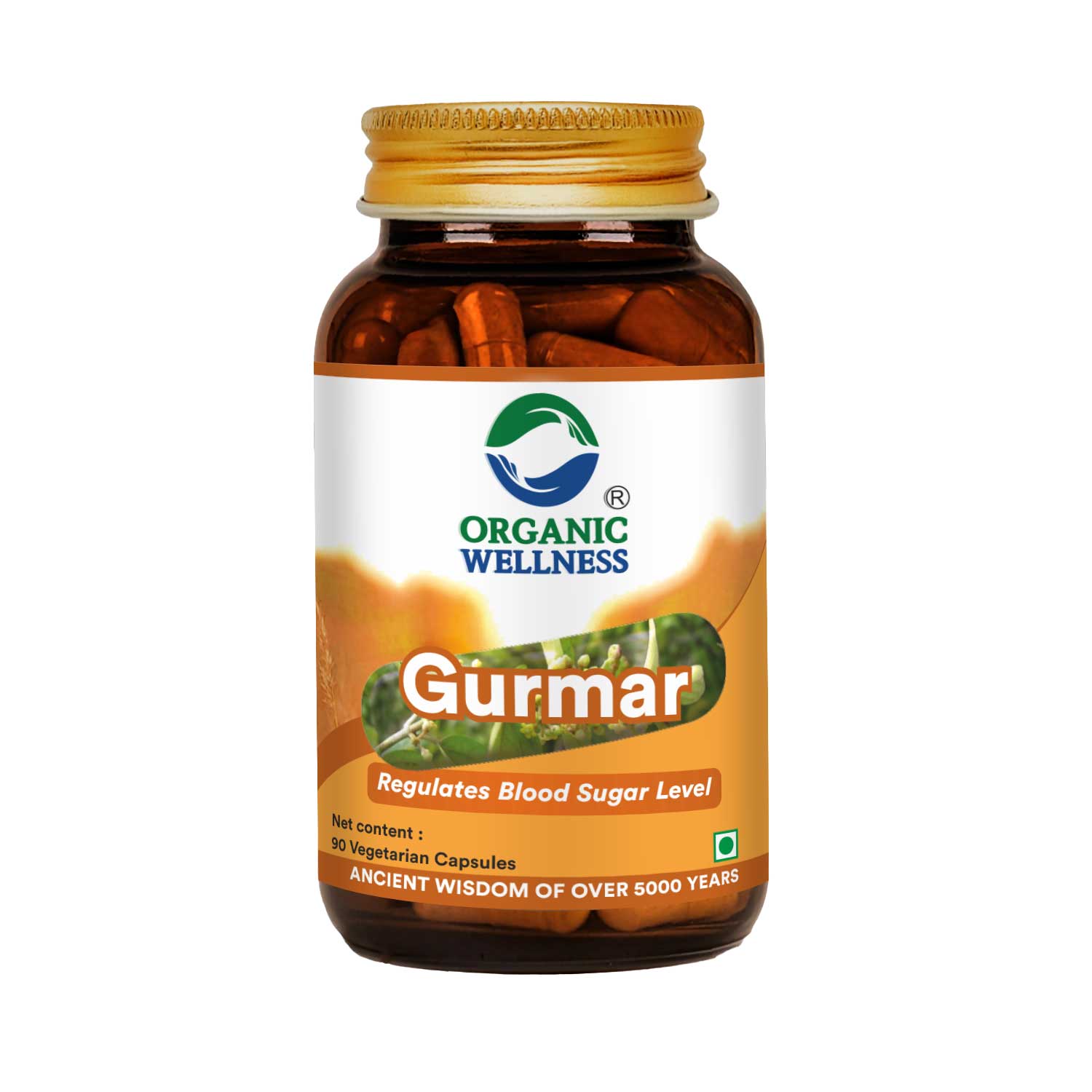 Organic Wellness Gurmar Capsules -  90 Vegetarian Capsules