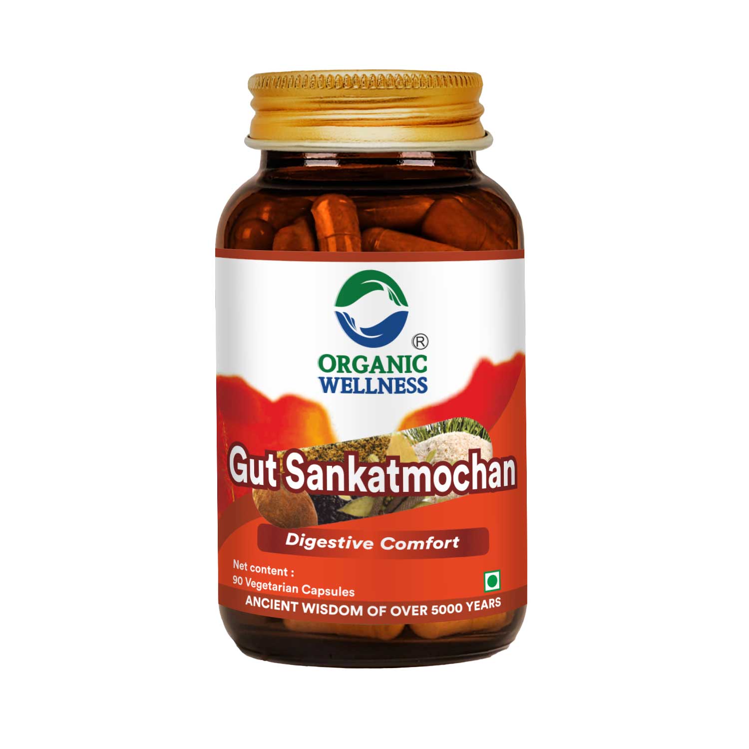 Organic Wellness Gut Sankatmochan Capsules - 90 Capsules