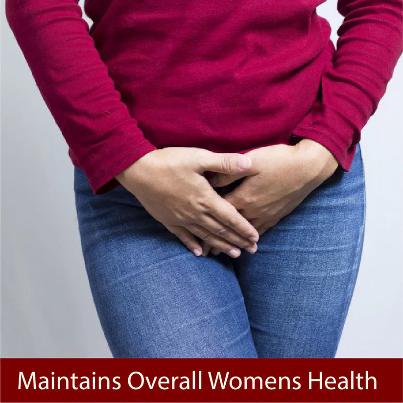 Cipzer Habb-E-Mudirr Pill - 12 Pills | Unani Natural Diuretic for Women’s Health, Kidney & Urinary Care