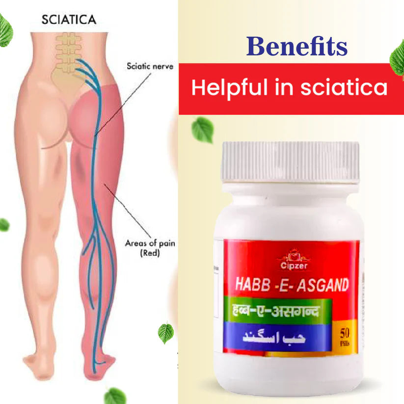 Cipzer Habb-E-Asgand Pill - 50 Pills | Joint Pain Relief, Bone Strength, Arthritis & Muscle Support