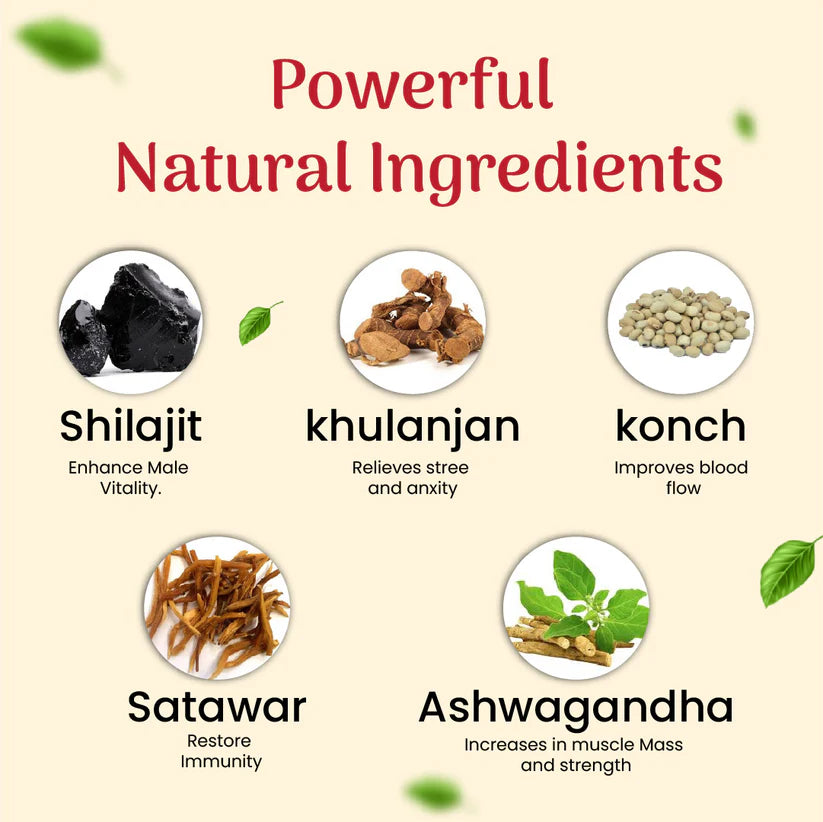 Cipzer Habb-E-Jawahar Pill - 10 Pills | Unani Remedy for Heart Strength, Vitality, Nervous & Mental Health
