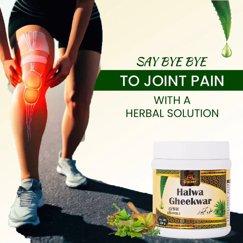 Cipzer Halwa Gheekwar - 250gm | Joint Health, Arthritis Relief, Digestive Support & Energy