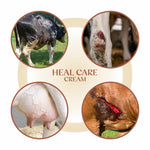 Cerafa Heal Care Udder Cream for Cows & Buffaloes | Herbal Cream for Dry, Cracked Udder Skin | 100 g