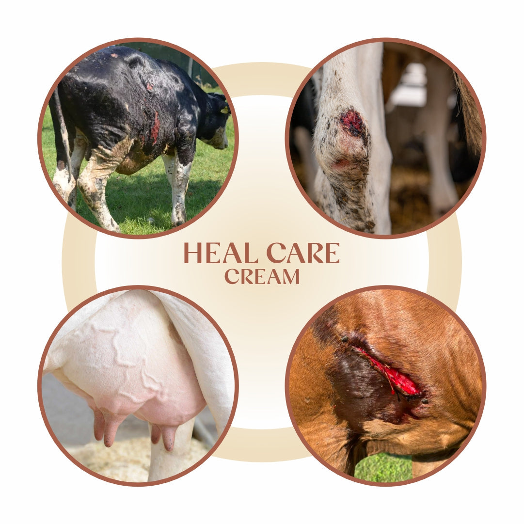 Cerafa Heal Care Udder Cream for Cows & Buffaloes | Herbal Cream for Dry, Cracked Udder Skin | 100 g