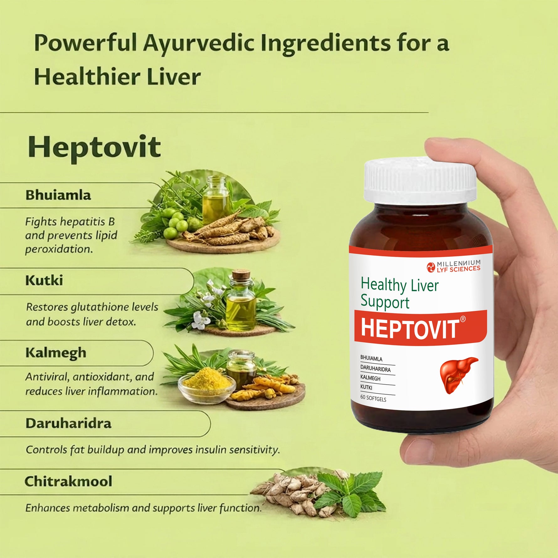 Millennium Herbal Care Heptovit Soft Gelatin Capsule (60 Each) (Bottle Pack)