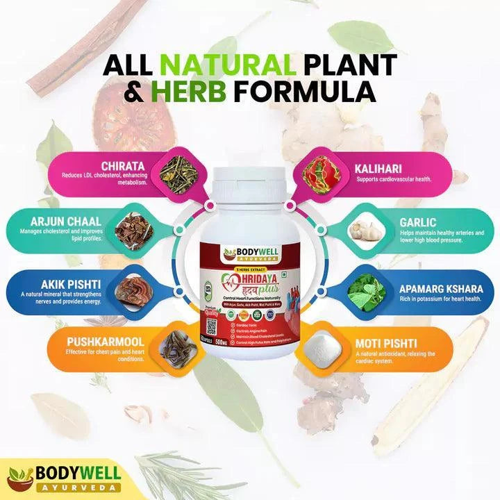 Bodywell Ayurveda HridayaPlus Capsules – Cardiovascular Wellness & Vascular Support – 60 Capsules (500mg)
