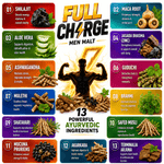 Lakshmi Krishna Naturals Full Charge Stamina Men Malt