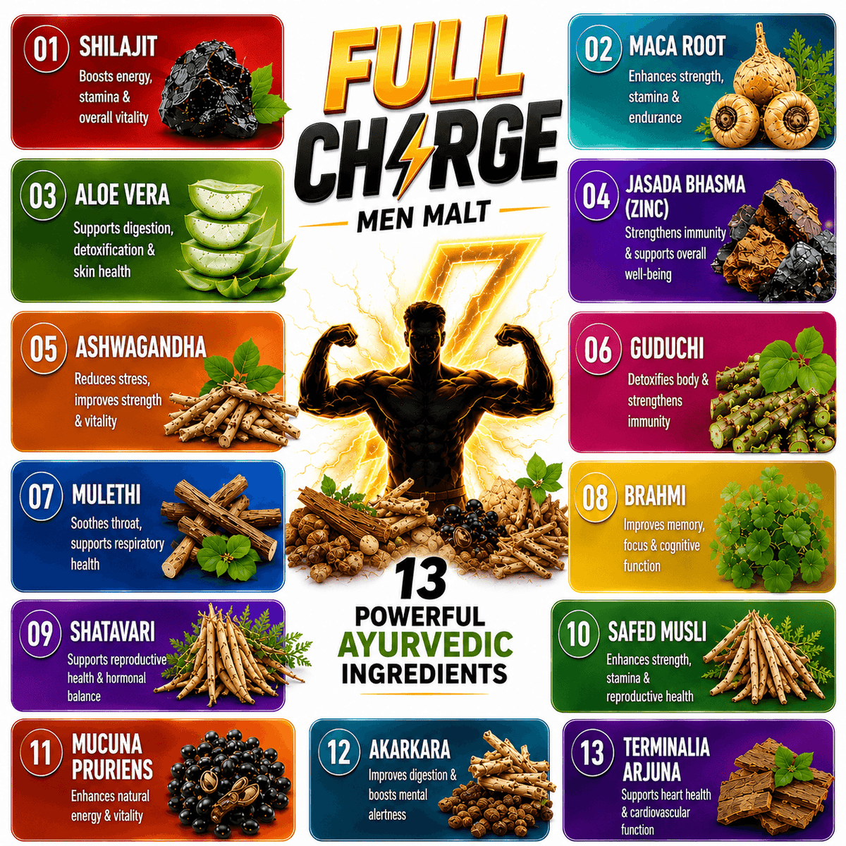 Lakshmi Krishna Naturals Full Charge Stamina Men Malt