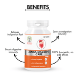 Zenius Digestive Care Tablets - Natural Ayurvedic Digestive Tablets - 60 Tablets