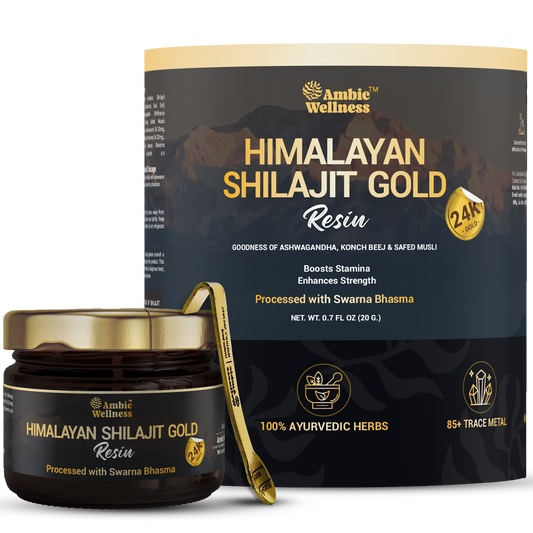 Ambic Wellness Himalayan Shilajit Gold Resin I With 24 Carat Gold I Boost Performance & Stamina - 20g