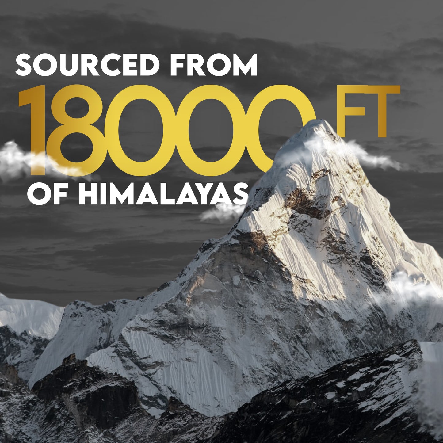 Ambic Wellness Himalayan Shilajit Gold Resin I With 24 Carat Gold I Boost Performance & Stamina - 20g