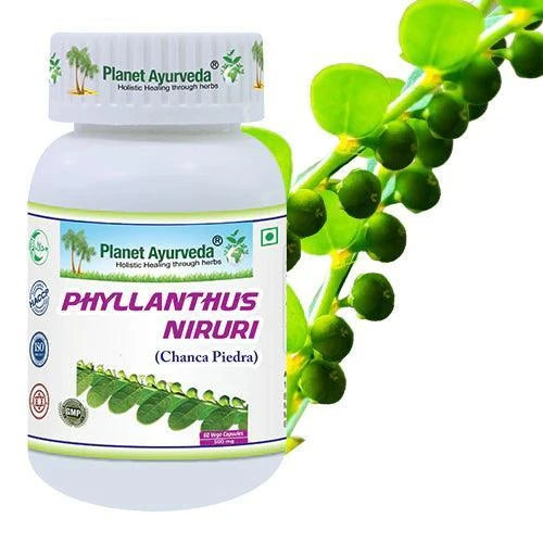 Planet Ayurveda Phyllanthus Niruri Capsule - 60 Capsules