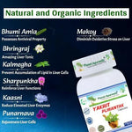 Planet Ayurveda Yakrit Plihantak Capsules - 60 Caps | Liver & Spleen Support