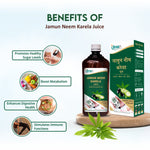 Swadeshi Jamun Neem Karela Juice - 1000ml