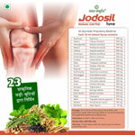 Kaahan Ayurveda Jodosil Syrup - 500ml