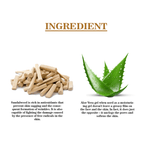 Khadi Care Herbal Sandalwood, Kesar & Aloevera Moisturising Lotion - 210ml