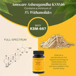 Amocare Ashwagandha KSM66 Capsules - 60 Veg Capsules