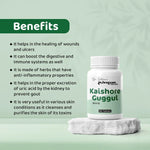 Dr. Satnam's Arogyam Kaishore Guggul Tablet (60 Each)