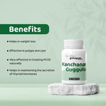 Dr. Satnam's Arogyam Kanchanar Guggulu Tablet (60 Each)