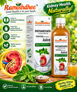 Ramoshdhee Organic Patharchatta Juice 1L