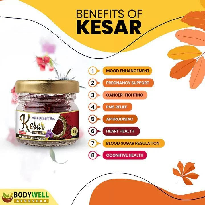 BodyWell Ayurveda Kashmir Saffron (Mongra) – Premium Grade A1 Antioxidant Spice – 1g