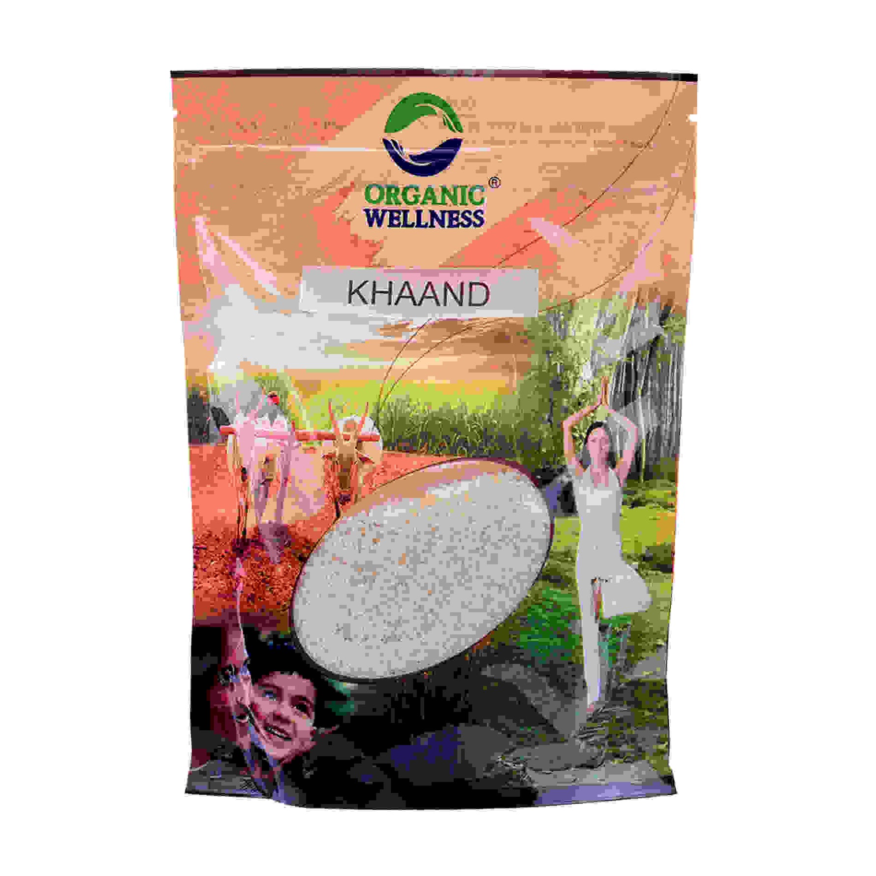Organic Wellness Khand 450 Gram