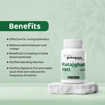 Dr. Satnam's Arogyam Kutajghan Vati (60 Each)