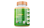 Divya Shree Liver Detox Capsule For Fatty Liver, Constipation, Improve Kidney Function Naturally, Relieves liver related problems 60 Capsule, Jeevan Care Ayurveda