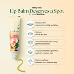 Moha: Herbal Lip Balm (10g) - Ayurvedic Cracked Lip Repair & Hydrating Lip Butter