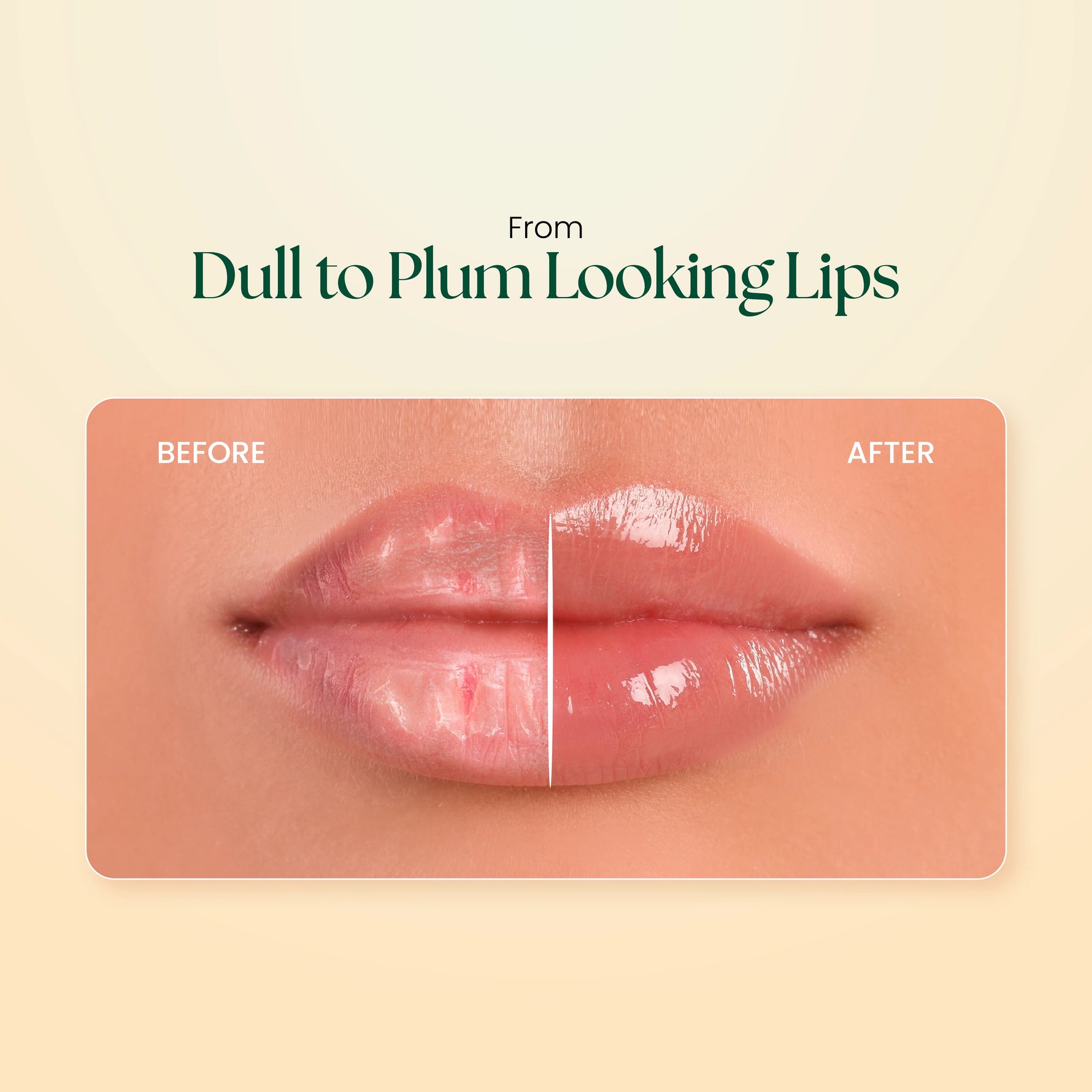 Moha: Herbal Lip Balm (10g) - Ayurvedic Cracked Lip Repair & Hydrating Lip Butter
