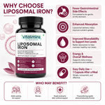 Vitalmins Liposomal Iron Capsules | Gentle, Non-Constipating Formula to Boost Energy, Hemoglobin & Healthy Iron Levels – 60 Veg Capsules