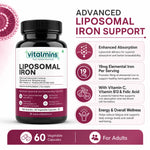 Vitalmins Liposomal Iron Capsules | Gentle, Non-Constipating Formula to Boost Energy, Hemoglobin & Healthy Iron Levels – 60 Veg Capsules