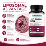 Vitalmins Liposomal Iron Capsules | Gentle, Non-Constipating Formula to Boost Energy, Hemoglobin & Healthy Iron Levels – 60 Veg Capsules