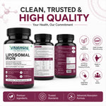 Vitalmins Liposomal Iron Capsules | Gentle, Non-Constipating Formula to Boost Energy, Hemoglobin & Healthy Iron Levels – 60 Veg Capsules