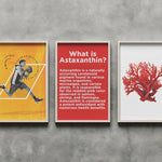 Health Veda Organics Astaxanthin Capsule - Plant Based 8mg - 60 Veg Capsules