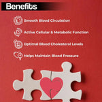 Health Veda Organics Coenzyme Q10 - Mitochondrial Energy & Cardiovascular Equilibrium (60 Capsules)