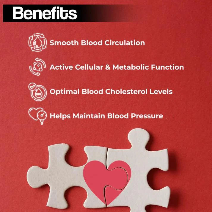 Health Veda Organics Coenzyme Q10 - Mitochondrial Energy & Cardiovascular Equilibrium (60 Capsules)