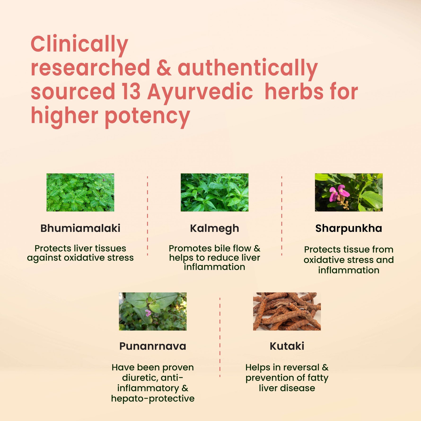 Vedistry Liver Care Tablets - Ayurvedic Liver Detox & SGOT SGPT Support