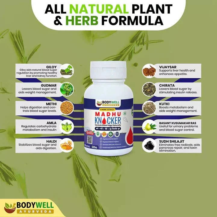 Bodywell Madhuknocker Capsules – Advanced Metabolic & Glucose Balance Support – 60 Capsules (500mg)