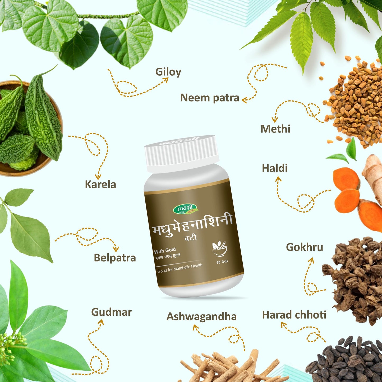 Swadeshi Madhumehnashine Vati - 60 Tablets
