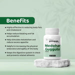 Dr. Satnam's Arogyam Medohar Guggulu Tablet (60 Each)